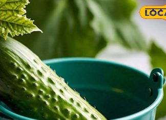 सलाद में शामिल करें ये चीज, शुगर, टेंशन और एसिडिटी से मिलेगी राहत! चेहरे पर आएगी चमक