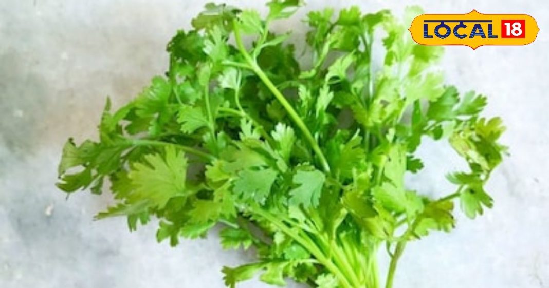 Health Tips: दवाओं की जरूरत को खत्म कर देते हैं ये हरे पत्ते, दोगुनी हो जाएगी ताकत! गैस भी रहेगी कंट्रोल