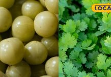 15 दिन तक खाएं इस देसी चीज की चटनी, उतर जाएगा आंखों का चश्मा, एक्सपर्ट से जानें विधि