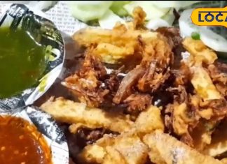 10 रुपये वाली पकौड़ी ने मचाई धूम, एक दिन में 1 क्विंटल की बिक्री