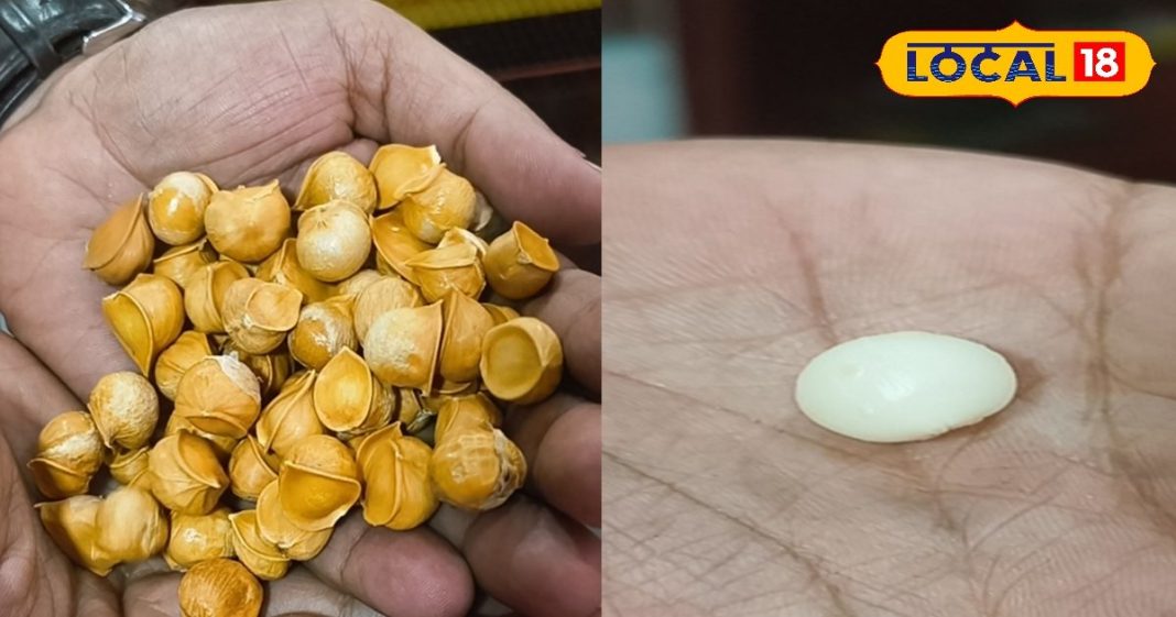 OMG! This ‘super garlic’ is being sold for Rs 2400 per kg in Patna, which people are eating like medicine. Know its surprising benefits