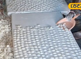 मिठास की दुकान है यह मिठाई, एक पीस खाते ही खुश हो जाता है दिल, कीमत 55 रुपये किलो