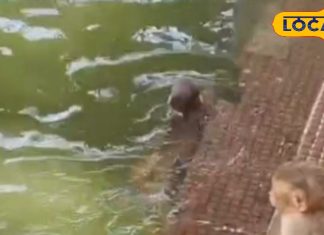 भगवान राम ने मां जानकी के लिए बनाया था ये कुंड, बंदरों ने बनाया स्विमिंग पूल