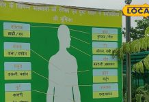 गजब! अब छूमंतर हो जाएंगी बीमारियां, बस इस वाटिका के पौधों को ऐसे लगाएं