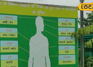 गजब! अब छूमंतर हो जाएंगी बीमारियां, बस इस वाटिका के पौधों को ऐसे लगाएं