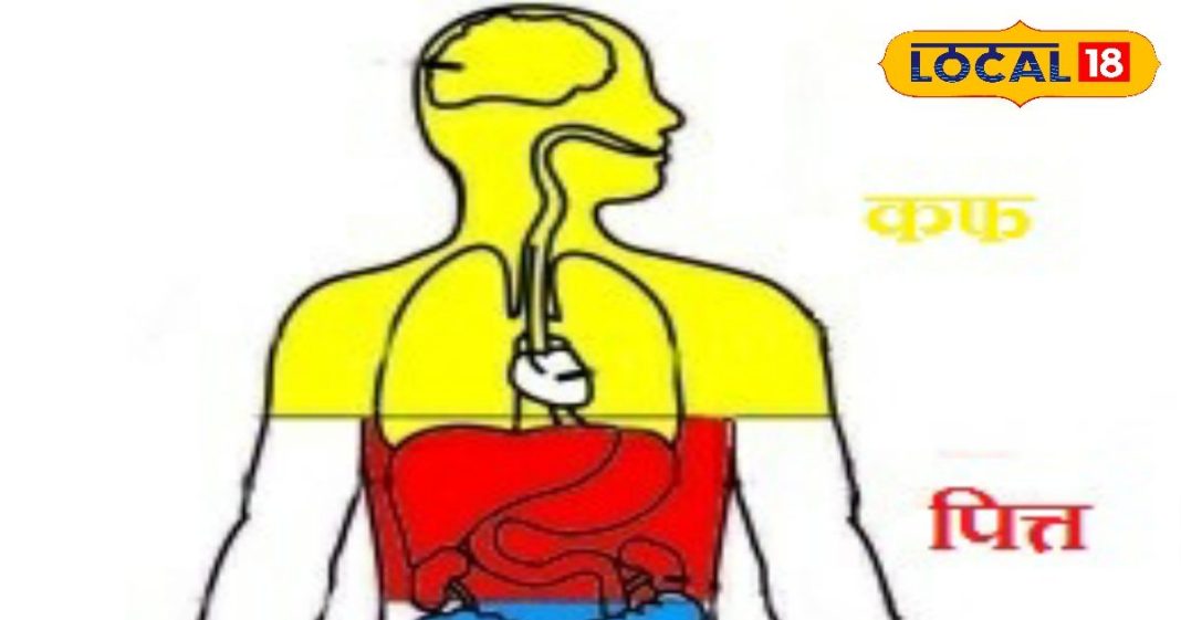 शरीर को स्वस्थ और संतुलित बनाए रखने के लिए पित्त को रखें ठीक, जानें डायट