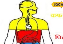 शरीर को स्वस्थ और संतुलित बनाए रखने के लिए पित्त को रखें ठीक, जानें डायट