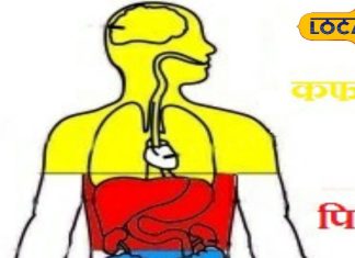 शरीर को स्वस्थ और संतुलित बनाए रखने के लिए पित्त को रखें ठीक, जानें डायट