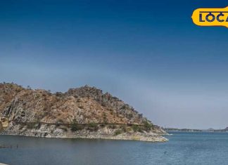 इस सेंचुरी में फिर शुरू होगी जीप सफारी, देखने को मिल सकते हैं ये जानवर