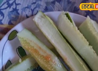 हजारों दवाओं को फेल करती है यह ककड़ी! पथरी-गैस को भगा देगी दूर, गिनते रह जाएंगे फायदे