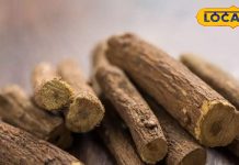 संजीवनी बूटी से कम नहीं यह लकड़ी, पेट से लेकर गले तक जबरदस्त हैं इसके फायदे, जानें उपयोग