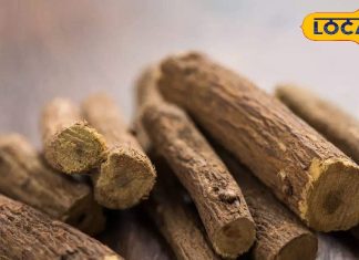 संजीवनी बूटी से कम नहीं यह लकड़ी, पेट से लेकर गले तक जबरदस्त हैं इसके फायदे, जानें उपयोग