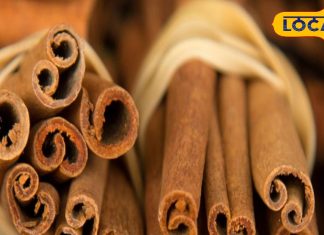 शुगर के साथ ही इन 21 रोगों के लिए फायदेमंद है ये लकड़ी, ऐसे लोग गलती से भी ना करें सेवन