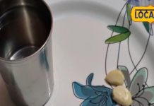 सब्जी में इस्तेमाल होने वाली इस चीज को रोज खाएं कच्चा, हार्ट रहेगा फिट