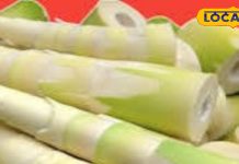 बाजार में महंगे हो गए गोभी और परवल, तो ट्राई करें बांस की सब्जी, जानें रेसिपी