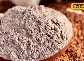 डायबिटीज मरीजों के लिए वरदान, यह आटा कंट्रोल करता है ब्लड शुगर लेवल, जानें एक्सपर्ट सलाह