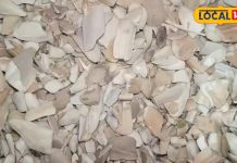 बहुत चमत्कारी है यह औषधि! घुटने का दर्द हो जाएगा बंद, बाल भी बनेंगे सिल्की-शाइनी, दूर रहेंगी बीमारियां