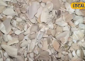 बहुत चमत्कारी है यह औषधि! घुटने का दर्द हो जाएगा बंद, बाल भी बनेंगे सिल्की-शाइनी, दूर रहेंगी बीमारियां