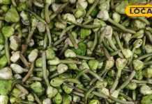 साल में मात्र 2 महीने मिलता है ये फल, पानी की कमी को करता है पूरा