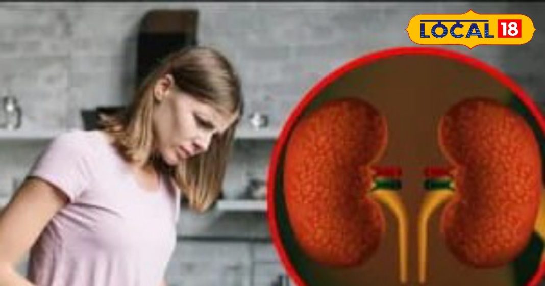 100 साल तक किडनी रहेगी टनाटन! बस इन 5 तरीकों से घर पर ही करें डिटॉक्स