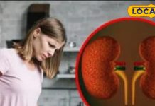 100 साल तक किडनी रहेगी टनाटन! बस इन 5 तरीकों से घर पर ही करें डिटॉक्स