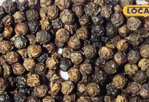 Besides being used as a spice in the kitchen, black pepper has many medicinal benefits as well… – Bharat.one हिंदी