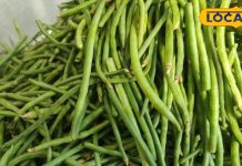 120 रुपए KG वाली ये सब्जी है दवाइयों का पिटारा, शुगर-हार्ट में भी कारगर