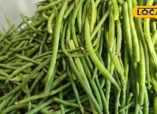 120 रुपए KG वाली ये सब्जी है दवाइयों का पिटारा, शुगर-हार्ट में भी कारगर