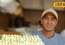 Mathura Famous Peda: рдЗрд╕ рдкреЗрдбрд╝реЗ рдХреЛ рдХрд┐рдпрд╛ рдЬрд╛рддрд╛ рд╣реИ рдЦрд╛рд╕ рддрд░реАрдХреЗ рд╕реЗ рддреИрдпрд╛рд░, рд╡реНрд░рдд рдореЗрдВ рднреА рд╕рдХрддреЗ рд╣реИрдВ рдЦрд╛, 25 рд╕рд╛рд▓ рд╕реЗ рд▓реЛрдЧ рдХрд░ рд░рд╣реЗ рдкрд╕рдВрдж