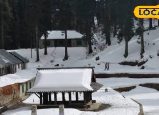 मंडी जिले में सर्दी की दस्तक, आयुर्वेदिक नुस्खों से रखें अपने परिवार को स्वस्थ, एक्सपर्ट से जानें कैसे रहें फिट