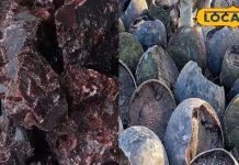 आप जानते हैं काले नमक के चमत्कारी फायदे? कैसे होता है तैयार…