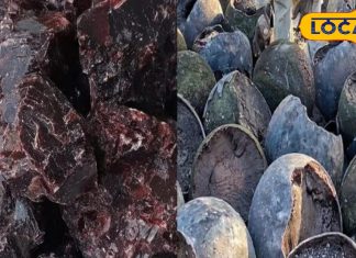 आप जानते हैं काले नमक के चमत्कारी फायदे? कैसे होता है तैयार…