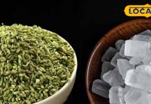 Saunf-Mishri Benefits: माउथ फ्रेशनर ही नहीं…सेहत का खजाना भी है सौंफ-मिश्री, इसके सेवन से रहेंगे एकदम फ्रेश
