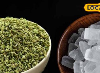 Saunf-Mishri Benefits: माउथ फ्रेशनर ही नहीं…सेहत का खजाना भी है सौंफ-मिश्री, इसके सेवन से रहेंगे एकदम फ्रेश