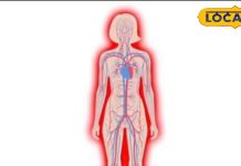 रोहतास जिले में एनीमिया मुक्त भारत अभियान ने पकड़ी रफ्तार, इन पर ज्यादा ध्यान