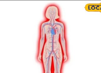 रोहतास जिले में एनीमिया मुक्त भारत अभियान ने पकड़ी रफ्तार, इन पर ज्यादा ध्यान