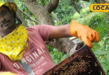 प्राकृतिक या हार्वेस्टिंग में कौन सा शहद होता है सबसे शुद्ध, असली और नकली की भी ऐसे कर सकते हैं जांच