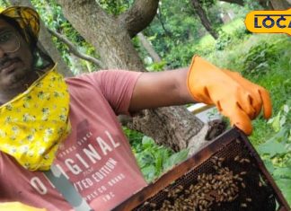 प्राकृतिक या हार्वेस्टिंग में कौन सा शहद होता है सबसे शुद्ध, असली और नकली की भी ऐसे कर सकते हैं जांच