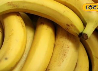 केला खाने के तुरंत बाद भूलकर भी न पिएं पानी, वरना हो सकती है यह स्वास्थ्य समस्या, जानें एक्सपर्ट की सलाह