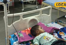 Jabalpur News: बुखार की दोहरी मार, डेंगू के बाद अब जापानी बुखार ने पसारे पैर, बच्चों को ज्यादा खतरा