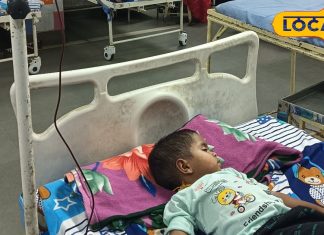 Jabalpur News: बुखार की दोहरी मार, डेंगू के बाद अब जापानी बुखार ने पसारे पैर, बच्चों को ज्यादा खतरा