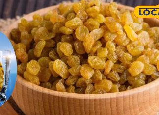 काजू-बादाम से ज्यादा ताकत है इस सूखे फल में, 11 से अधिक बीमारियों से मिलता है छुटकारा – Bharat.one हिंदी