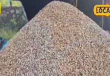 'गरीबों का बादाम' बाजार में आते ही मचा दी धूम, सेहत का खजाना, जानें खासियत