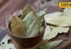Benefits Of Bay Leaf: खुशबू से सेहत तक, डायबिटीज और पाचन के लिए एक अद्भुत मसाला है तेज पत्ता