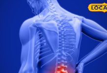 सर्दियों के आते ही हड्डियों में शुरू हो जाता है दर्द? बनाएं इन्हें मजबूत, एक्सपर्ट से जानें असरदार टिप्स