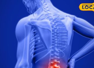 सर्दियों के आते ही हड्डियों में शुरू हो जाता है दर्द? बनाएं इन्हें मजबूत, एक्सपर्ट से जानें असरदार टिप्स