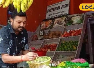 पहाड़ी तोरई के पत्तों का ऐसे करें इस्तेमाल, पीलिया से मिलेगी राहत! पाइल्स में भी कारगर