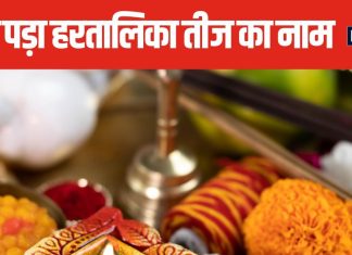 Hartalika Teej Vrat 2024: आखिर क्यों तीज व्रत का नाम पड़ा हरतालिका तीज, पढ़ें रोचक कहानी