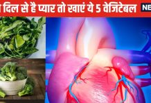 рдЕрдкрдиреЗ рд╣рд╛рд░реНрдЯ рд╕реЗ рдХрд░рддреЗ рд╣реИрдВ рдкреНтАНрдпрд╛рд░, рддреЛ рдЗрди 5 рд╕рдмреНрдЬрд┐рдпреЛрдВ рд╕реЗ рди рдХрд░реЗрдВ рдЗрдВрдХрд╛рд░, рдЖрдЬ рд╣реА рдЕрдкрдиреА рдерд╛рд▓реА рдореЗрдВ рдХрд░реЗрдВ рд╢рд╛рдорд┐рд▓, рджрд┐рд▓ рдХрд╣реЗрдЧрд╛ ‘рдереИрдВрдХ рдпреВ’