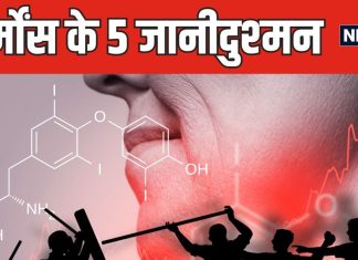 рдЖрдкрдХреЗ рд╣рд╛рд░реНрдореЛрдВрд╕ рдХреА рдмрд░реНрдмрд╛рджреА рдХреЗ рдЬтАНрд┐рдореНтАНрдореЗрджрд╛рд░ рд╣реИрдВ рдпреЗ 5 рд╡рд┐рд▓реЗрди, рд╢рд░реАрд░ рдореЗрдВ рдордЪрд╛ рджреЗрдВрдЧреЗ рддрдмрд╛рд╣реА, рддреБрд░рдВрдд рдиреЛрдЯ рдХрд░реЗрдВ рдЗрдирдХреЗ рдирд╛рдо